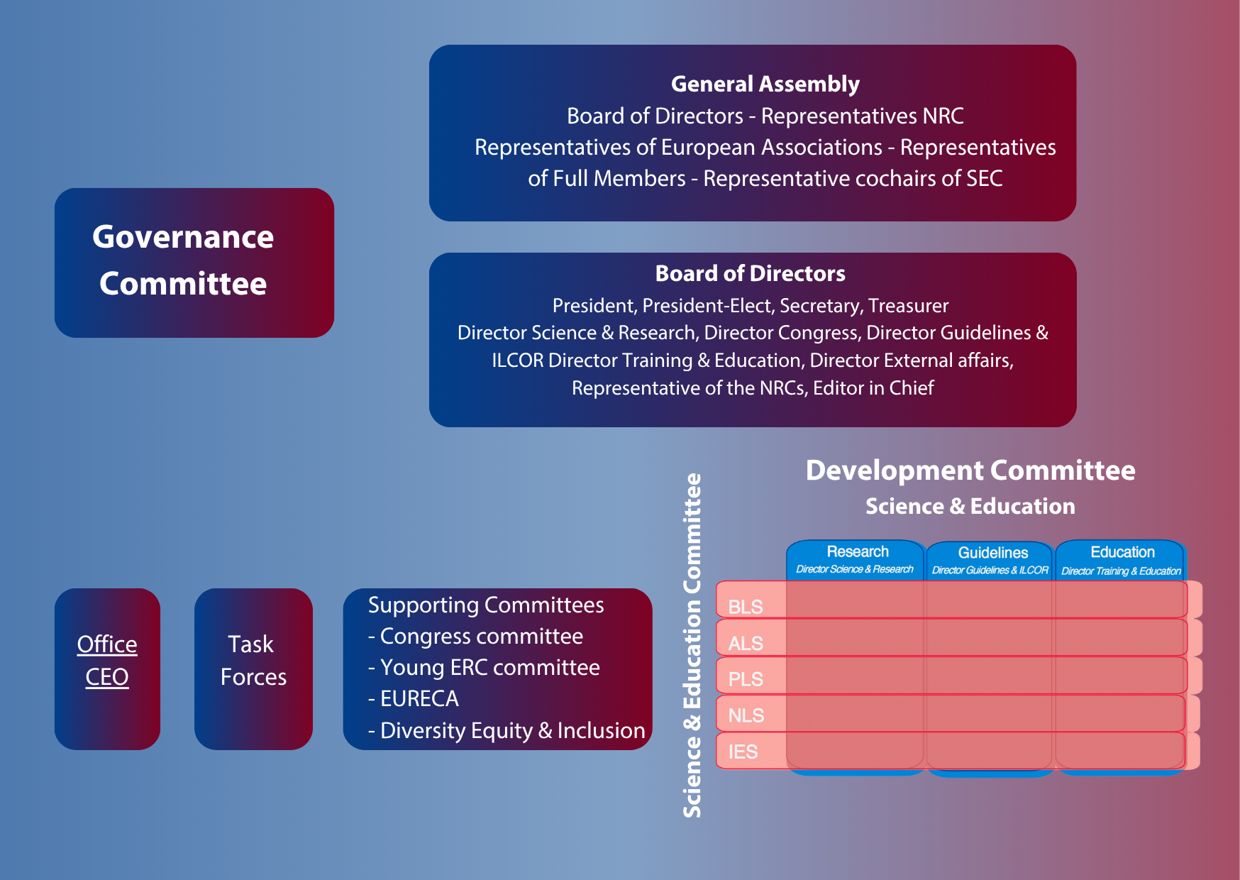 Structure of the Governance of the ERC