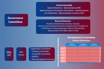 Structure of the Governance of the ERC